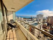 Top Viña del Mar