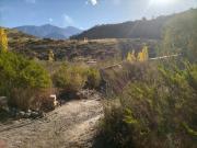 Top Potrerillos