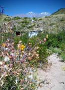 Top Potrerillos