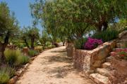 Top Silves