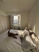 Apartamento familiar con piscina en Porlamar
