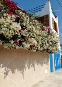 Top Tamraght Ouzdar Top Tamraght Ouzdar