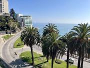Top Viña del Mar