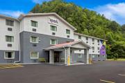 Top Prestonsburg