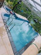 Top Wayanad
