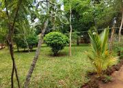 Top Kilifi