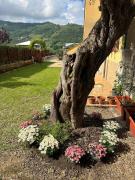 Casa vacanze Nonna Giò