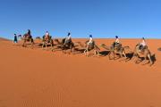 Top Merzouga