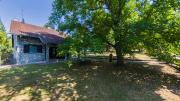 Top Sisevac