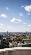 Top Dnipro
