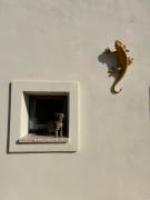 Top Ostuni