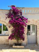 Top Ostuni