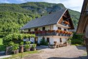 Mojcas Magical Farm Apartment
