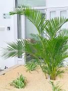 Newly Renovated Villa Near Beach & Amenities