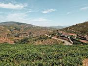 Top Lamego