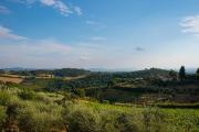 Top Monsanto Top Monsanto