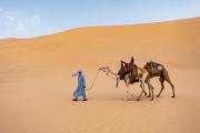 Sahara Unique dunes camp