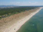 Top Viareggio