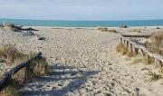 Top Viareggio