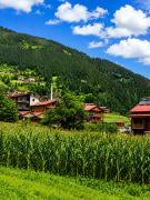 Top Uzungol