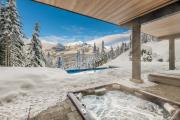 Top Whistler