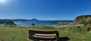 Top Port Orford Top Port Orford