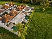 Top Ubud
