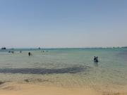 Top Hammamet