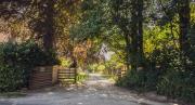 Top Alfriston