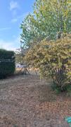 Top Paray-le-Monial