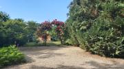Top Balatonkenese