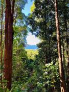 Top Currumbin Valley