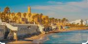 Top Hammamet