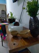 Top Oaxaca