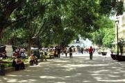 Top Oaxaca