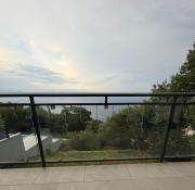 Top Medveja