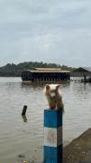 Sathar Resort