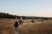 Top Ojai