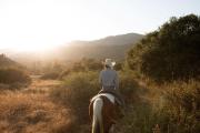 Top Ojai