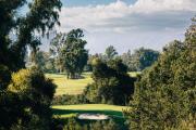 Top Ojai