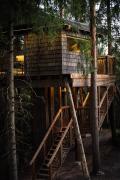 Lootvina Houses - Luxury treehouse withmodern amenities