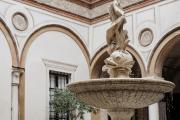 Top Cremona