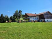 Top Siegsdorf