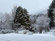 Top San Martín de los Andes