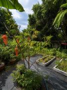 Top Amphoe Koh Samui
