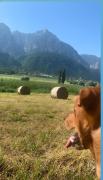 Top Vigolo Vattaro Top Vigolo Vattaro