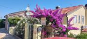 Top Mali Lošinj