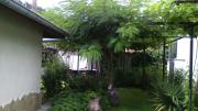 Nenkovi Guest house