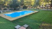 Top Chillán