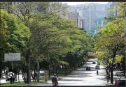 Top Belo Horizonte